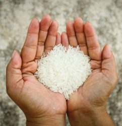 637701489156453052dsm hands