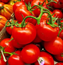 fresh-tomato-substitutes-2